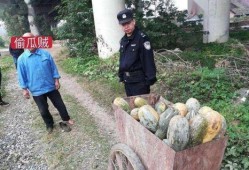 潜山吃瓜最新事件爆料是真的吗,最新爆料真相揭秘